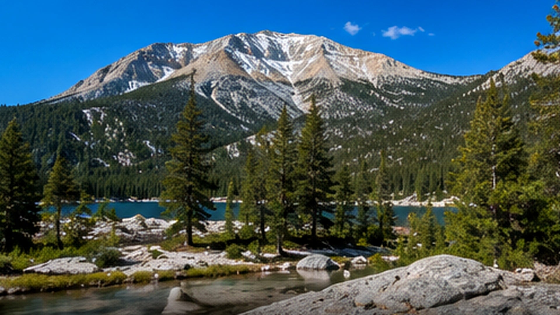 Pine forest at Mount Charleston above the desert valley